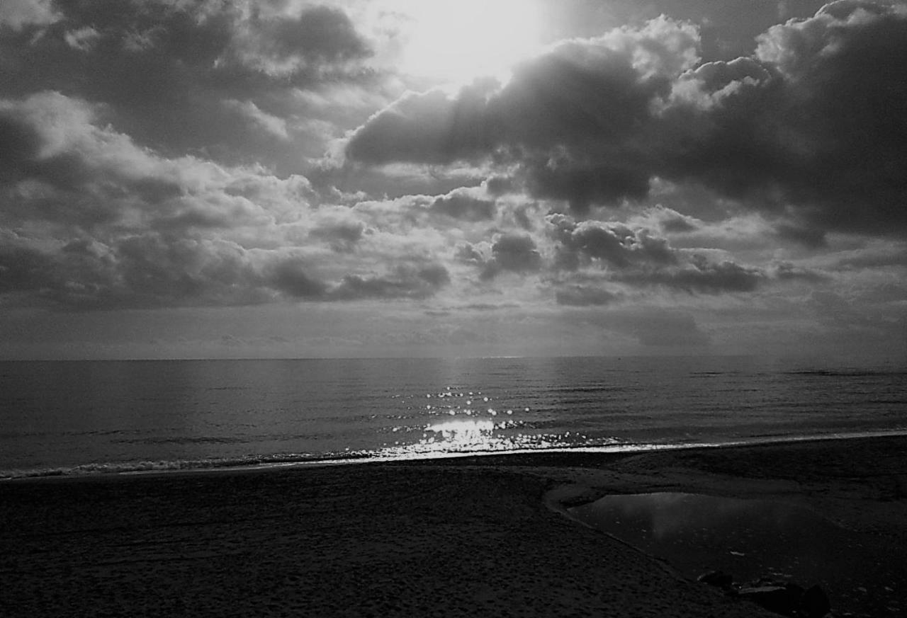 Appartement Ap 150 M Playa à Pals Extérieur photo